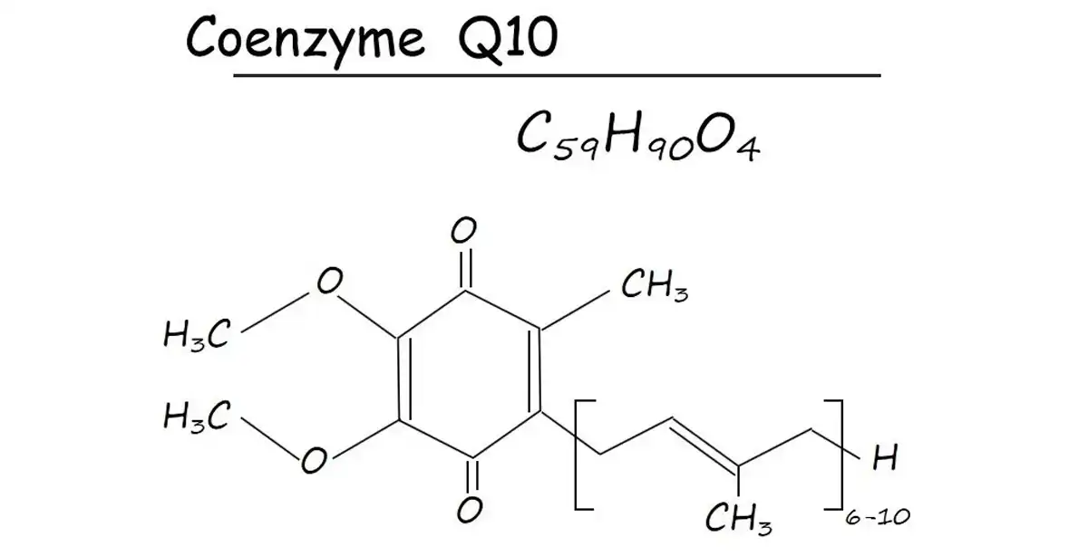 Coenzyme Q10 Supplier.jpg